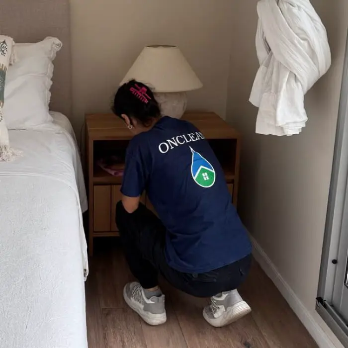 elegir limpieza integral 1