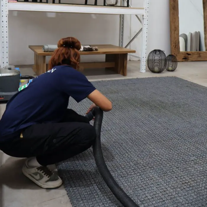 elegir limpieza de alfombras y tapizados 1